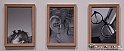 VBS_0873 - Mostra Liquida Photofestival